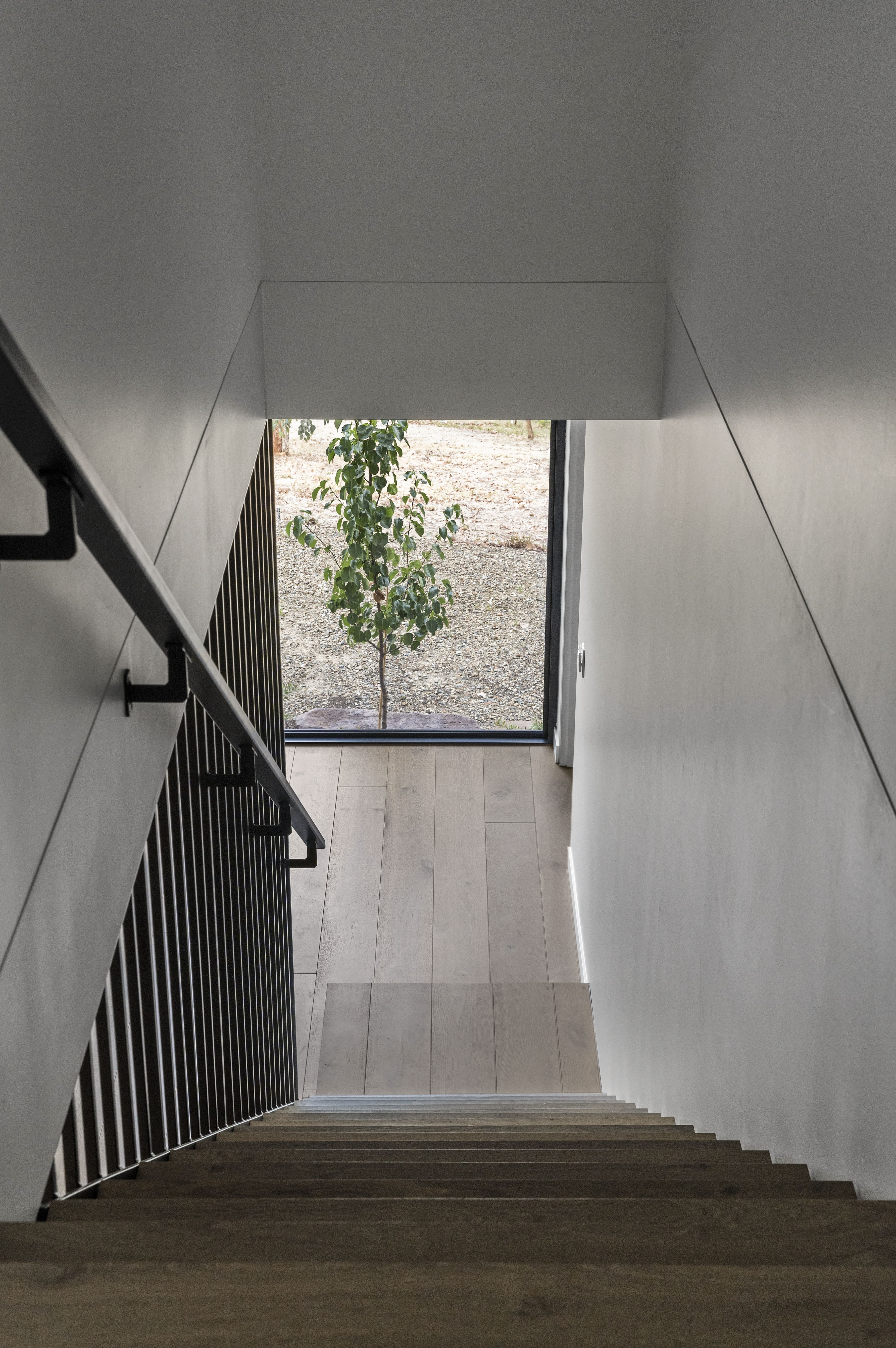 View down a modern staircase with wooden steps and a black metal handrail, leading to a floor-to-ceiling window showing a small tree outside.
