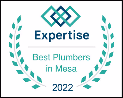 Expertise award badge for Best Plumbers in Mesa for 2022
