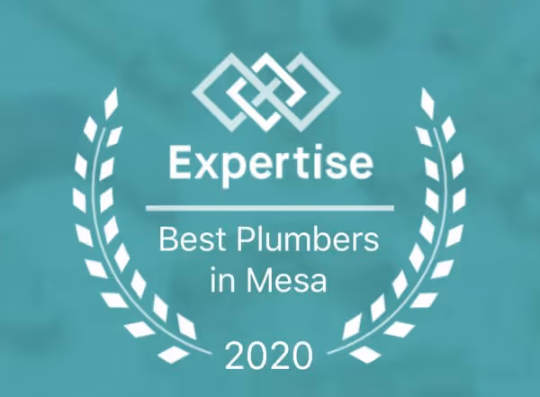 Expertise award badge for Best Plumbers in Mesa in 2020