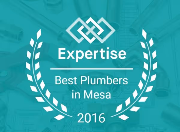 Expertise award badge for Best Plumbers in Mesa in 2016