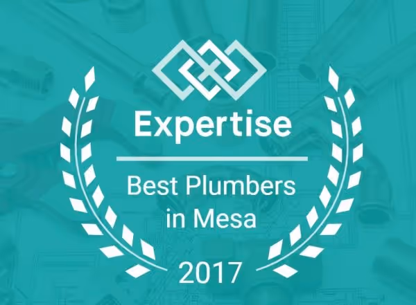 Expertise award badge for Best Plumbers in Mesa in 2017