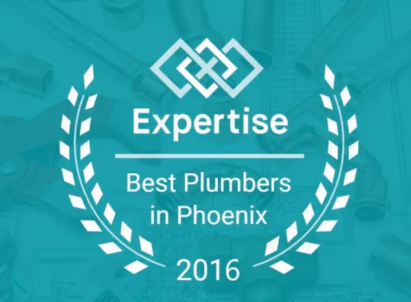 Expertise award badge for Best Plumbers in Phoenix in 2016