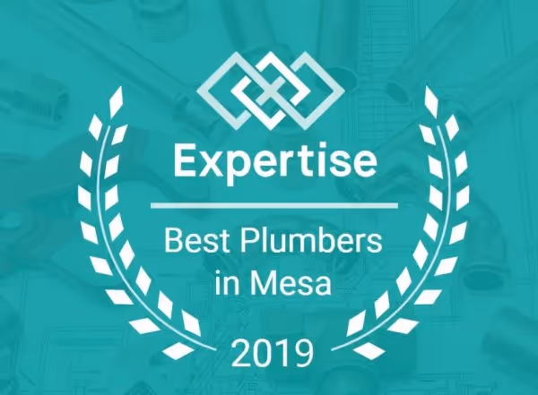 Expertise award badge for Best Plumbers in Mesa in 2019