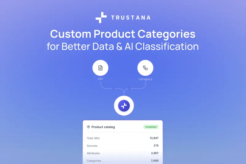 Custom Product Categories for Better Data & AI Classification
