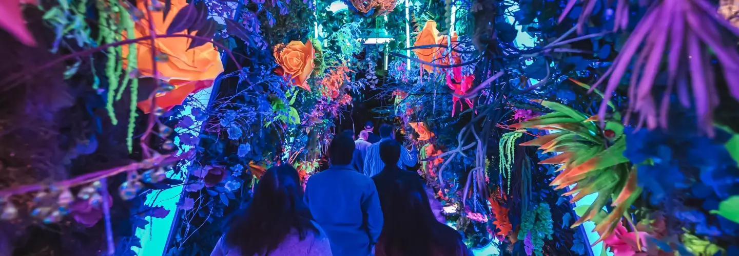 Inter immersive experience room - jungle forest 