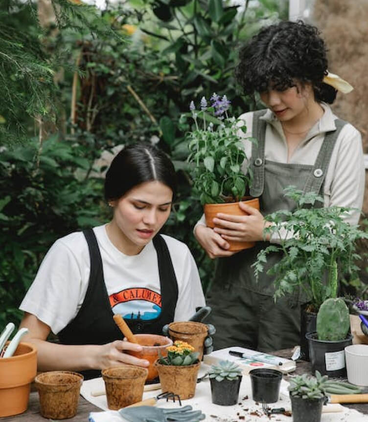 Plant Image