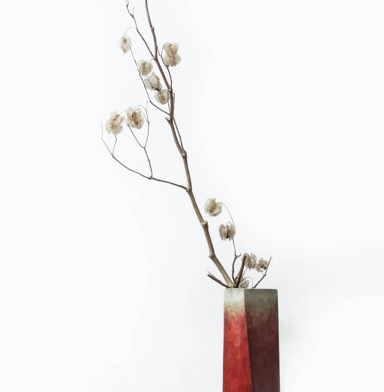 Plant Image
