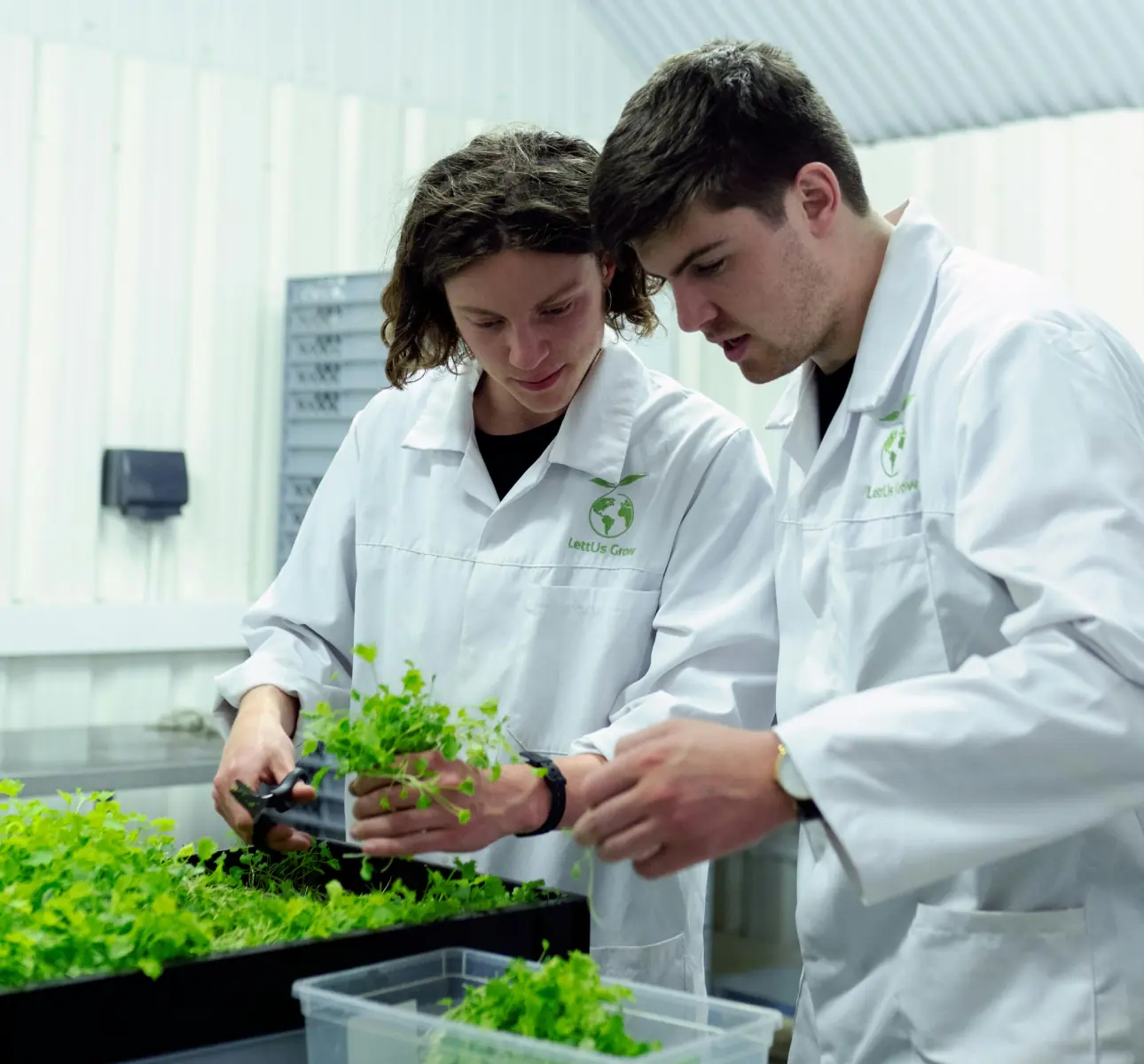 Two agritech employees in labcoats working on sustainable agriculture