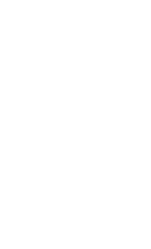 BBM Icon of fast charging