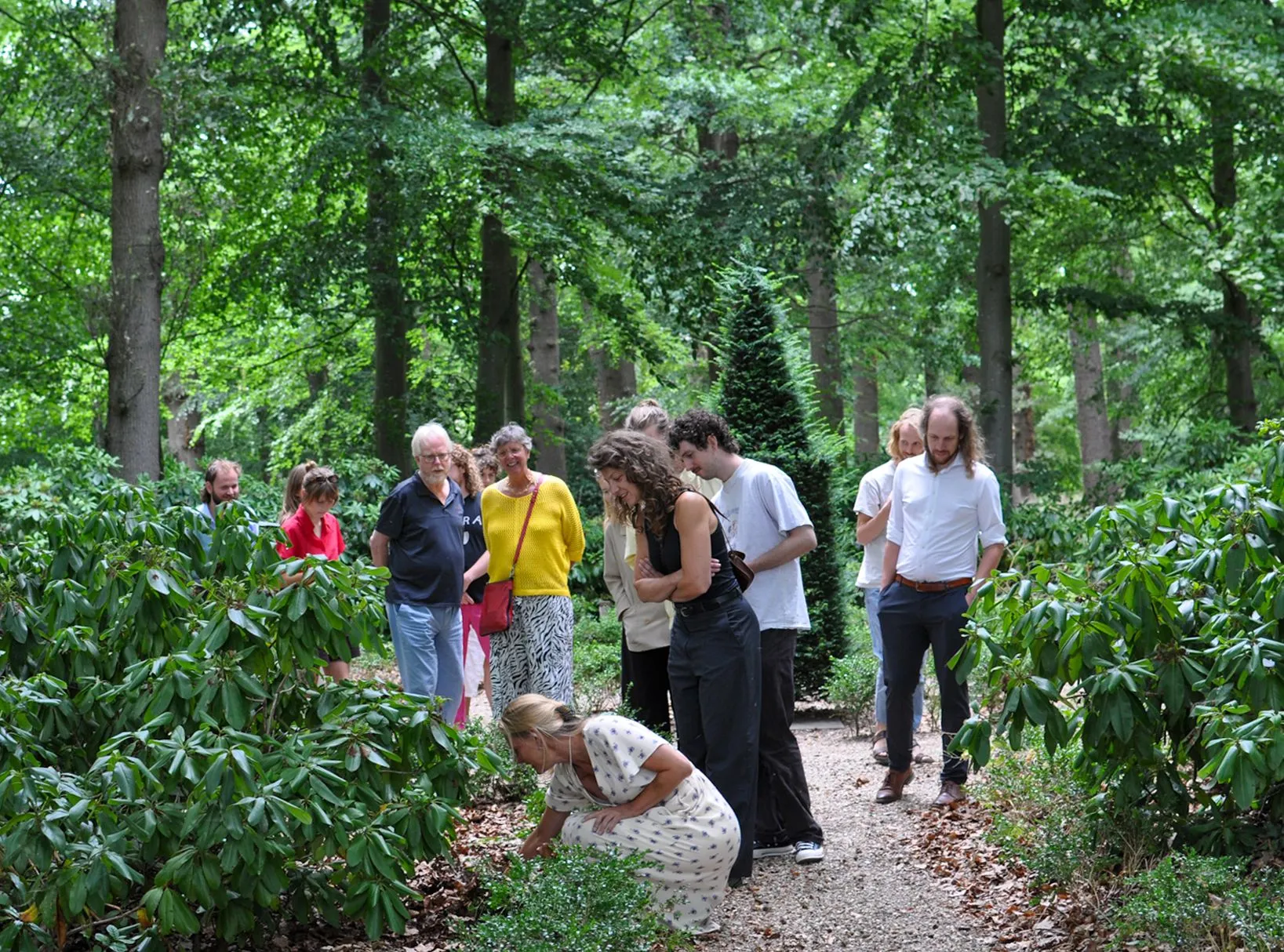groep mensen op een bospad