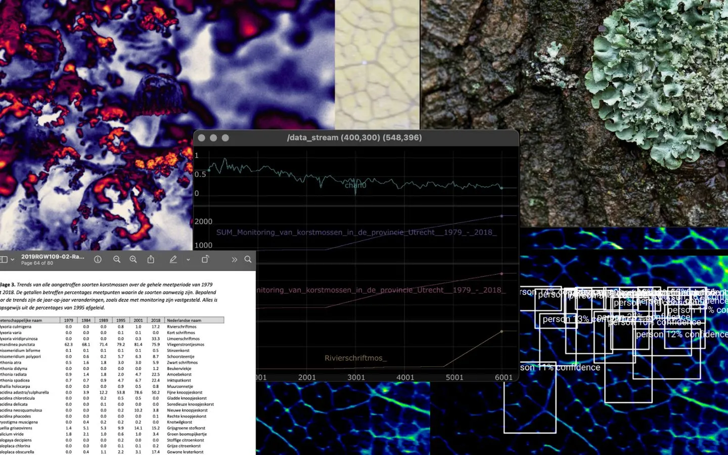 Een groep mensen staat voor een schuur in een bos