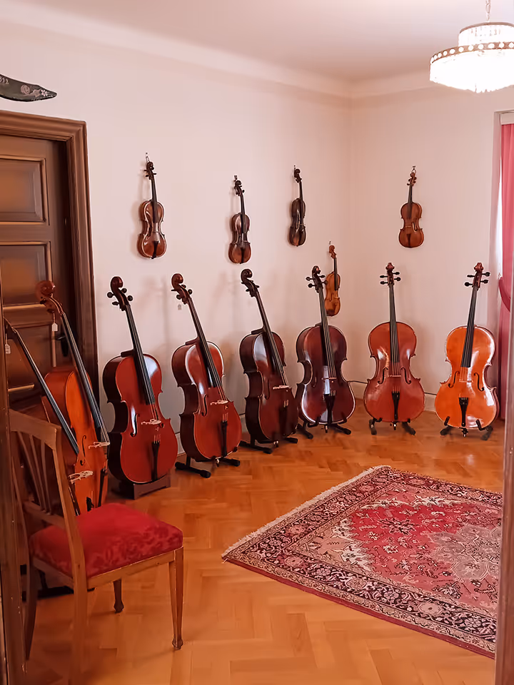 Prova instrument