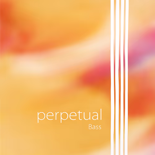 PERPETUAL SATS BASSTRÄNG[PIR345020]