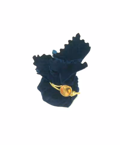 SALCHOW HARTS[SALCH]