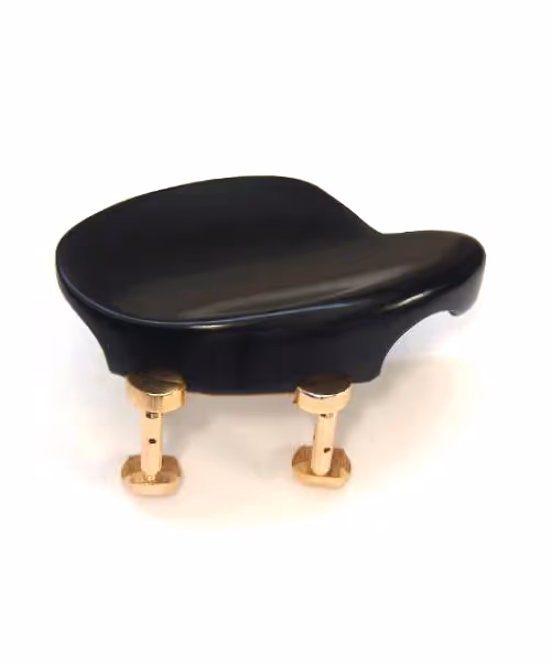 HAKHÅLLARE VERMEER EBENHOLTS FÖRGYLLDA HILLSKRUVAR[BCIHHE7FH]