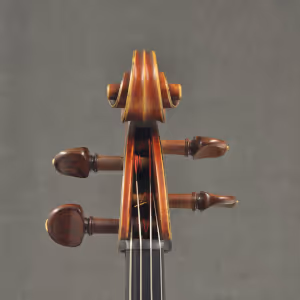 Cello