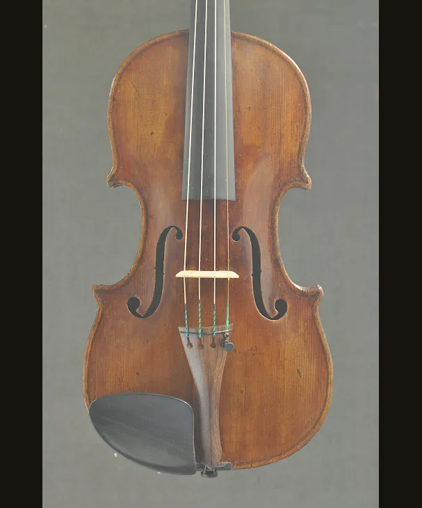 Violin etikett  Gaetano Guadagnini [Kom 213]