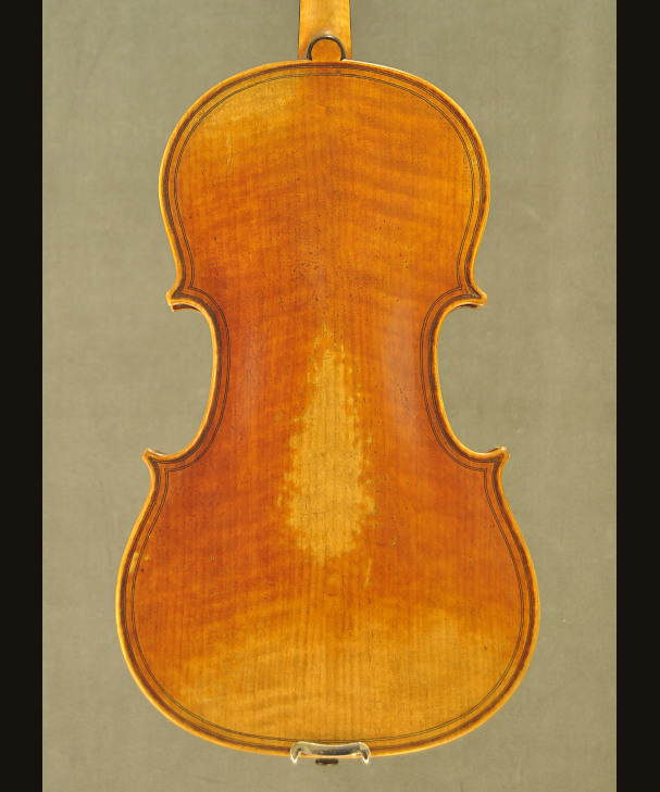 VIOLA JAY HAIDE "MAGGINI" [201454]