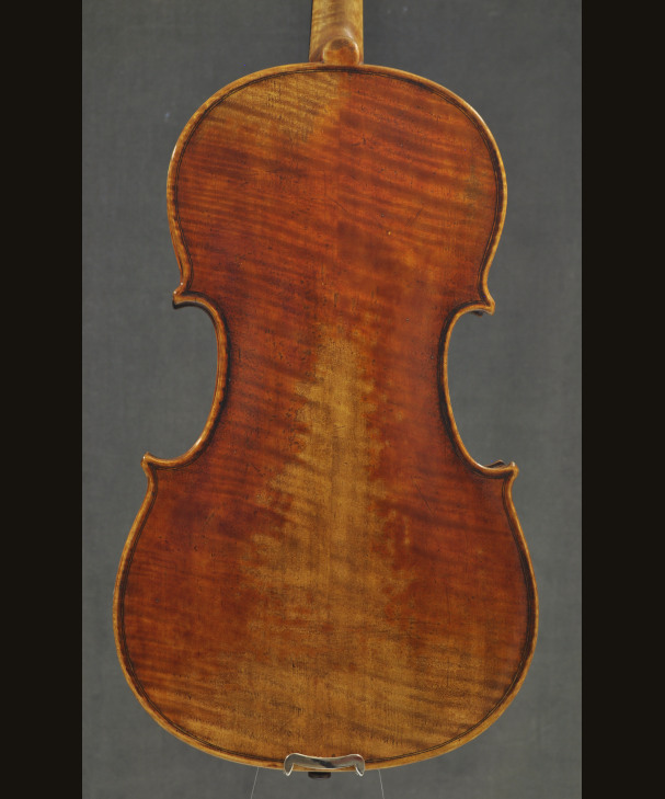 VIOLA JAY HAIDE 201435