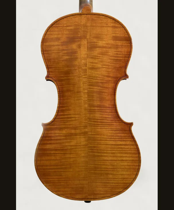 VIOLA NORSKOV KOM238[KOM238]