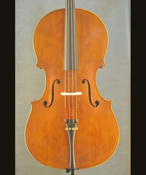 CELLO PAULO VETTORI[302596]
