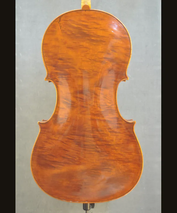 CELLO PAULO VETTORI[302596]