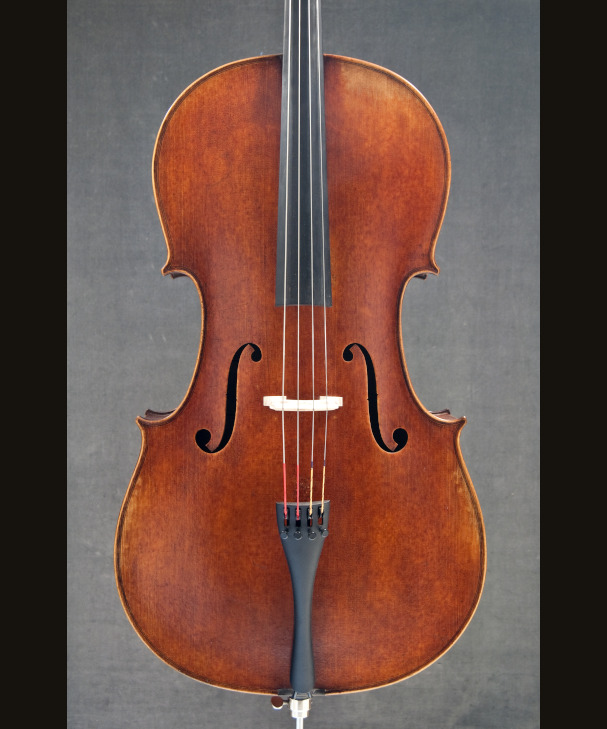 CELLO JAY HAIDE ANTIQUE 302807[302807]
