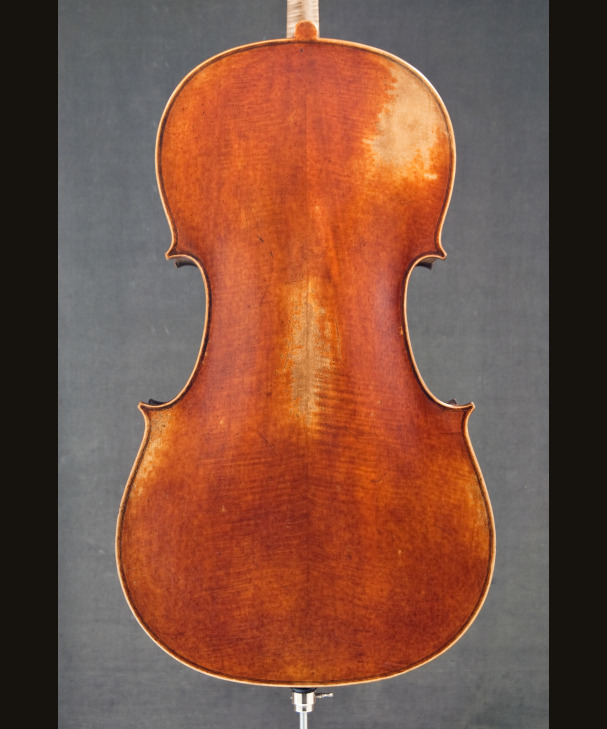 CELLO JAY HAIDE ANTIQUE 302807[302807]
