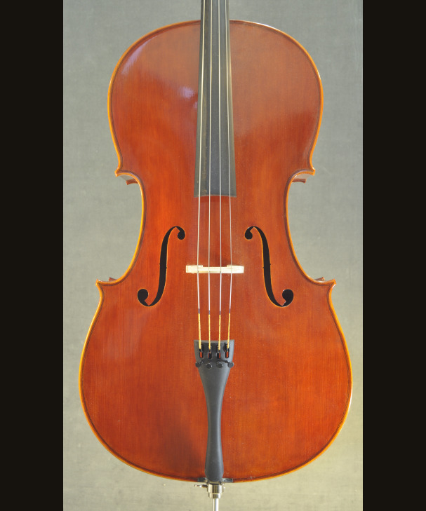 CELLO JAY HAIDE MODERN 302848[302848]