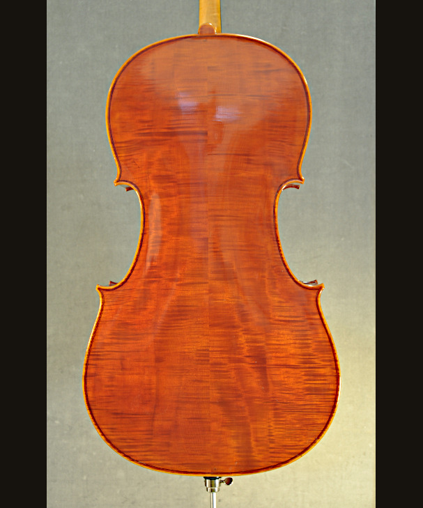 CELLO JAY HAIDE MODERN 302848[302848]