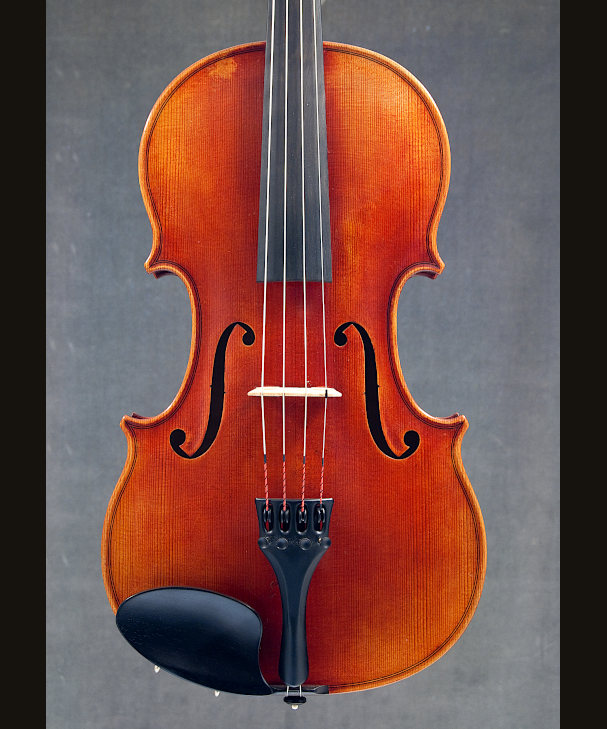 VIOLA BRUNO FRANZ PAULUS[KOM149]