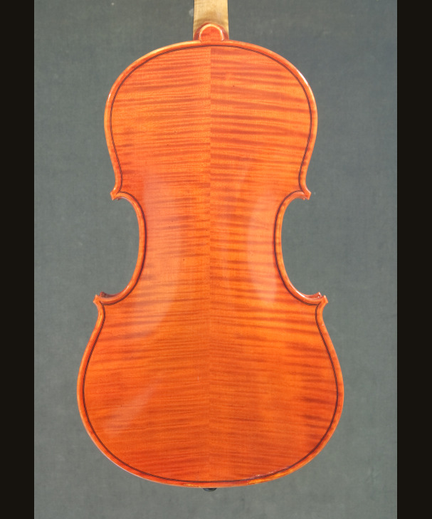 VIOLA E LABIO KOM196[KOM196]