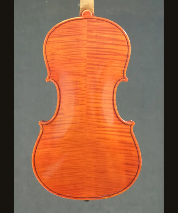 VIOLA E LABIO KOM196[KOM196]