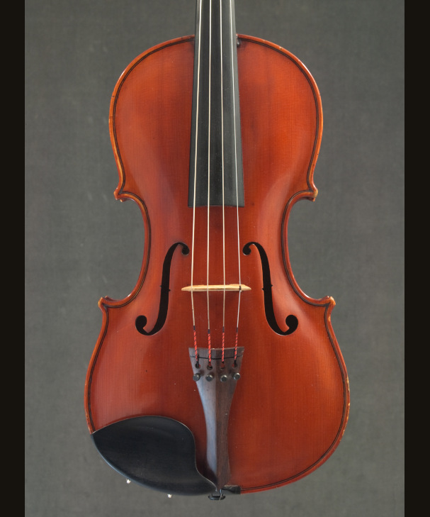 VIOLA LUIGI MOZZANI[221369]