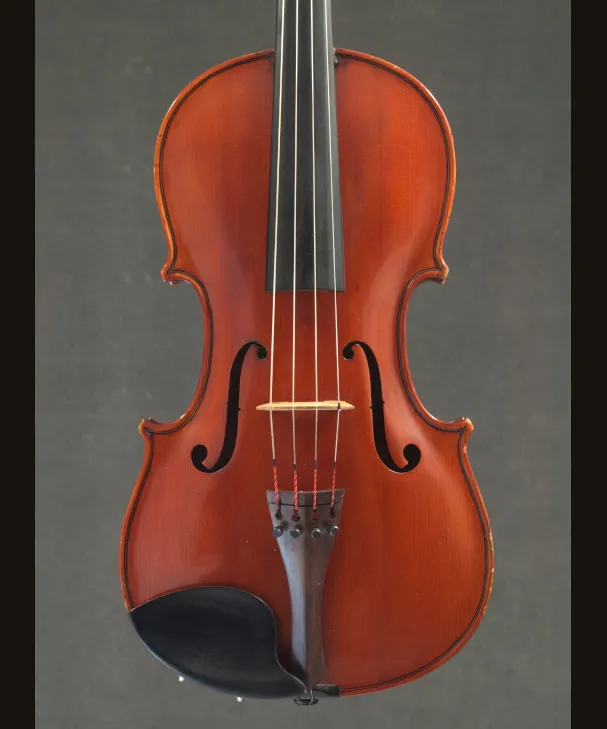 VIOLA LUIGI MOZZANI[221369]