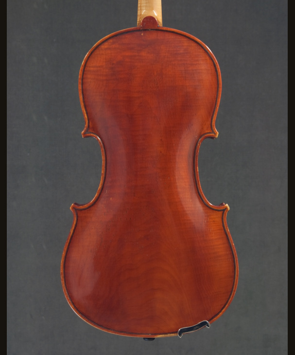 VIOLA LUIGI MOZZANI[221369]