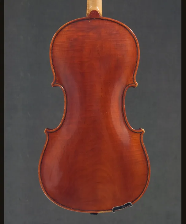 VIOLA LUIGI MOZZANI[221369]