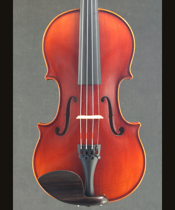 VIOLIN PAGANINI [902493]