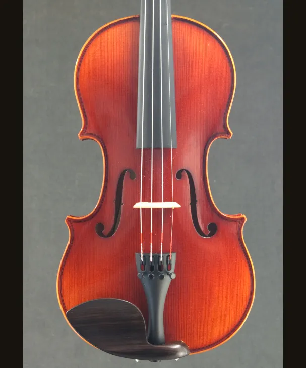 VIOLIN PAGANINI [902493]