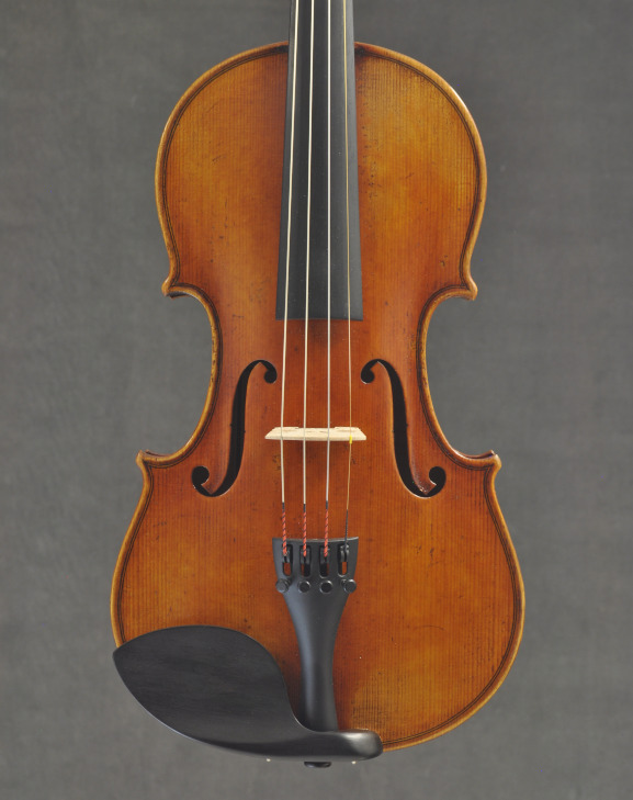VIOLIN JAY HAIDE "Eurowood" 902519