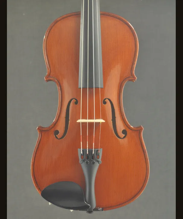 VIOLIN ALOIS SANDNER "ALOSA" [922540]