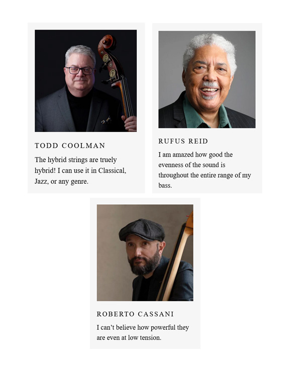 TEMPERA HYBRID SATS BASSTRÄNGAR[TEMP2321075]