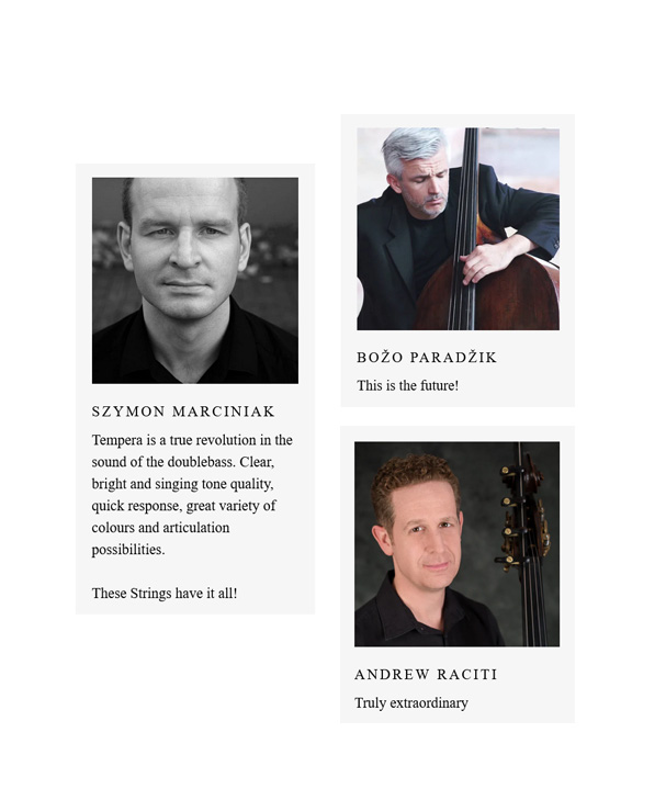 TEMPERA BASSO SATS (EXTENDED E/C) BASSTRÄNGAR[TEMP2321068X]