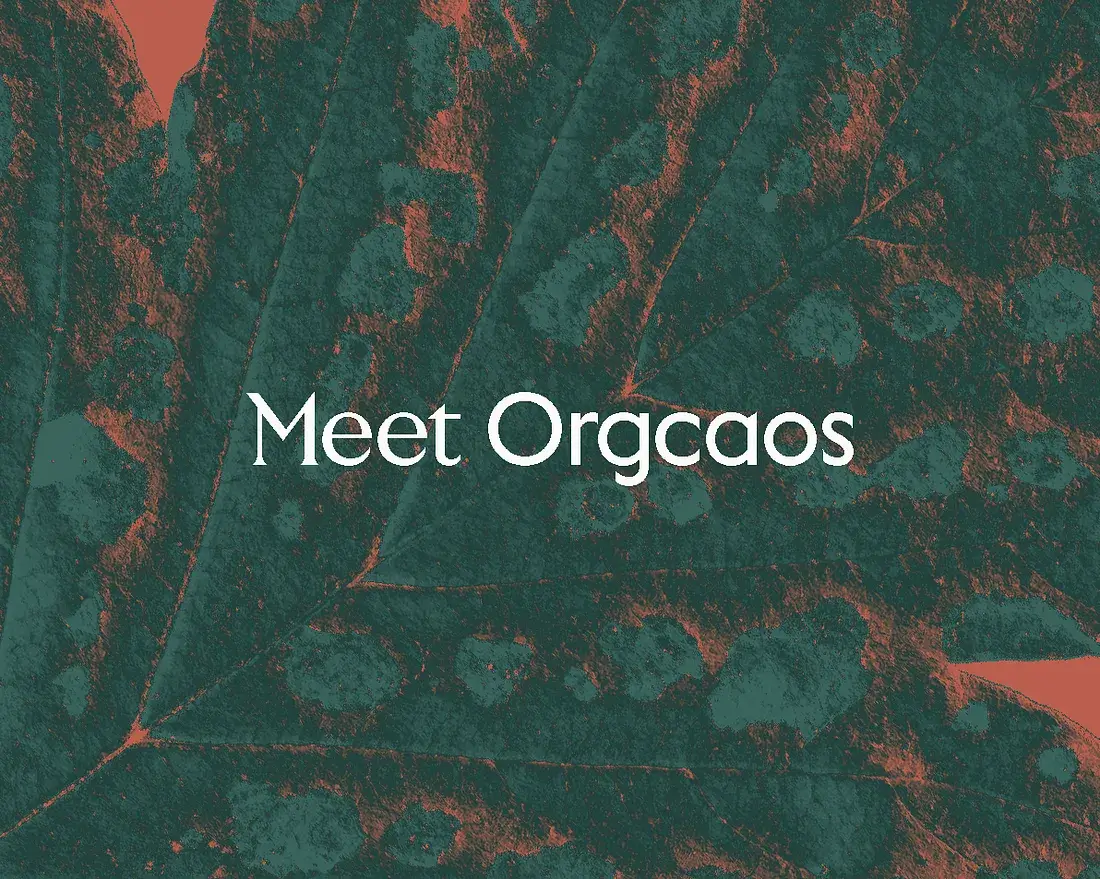 Leaf in the background with duotone colours and the text ‘Meet Orgcaos’.