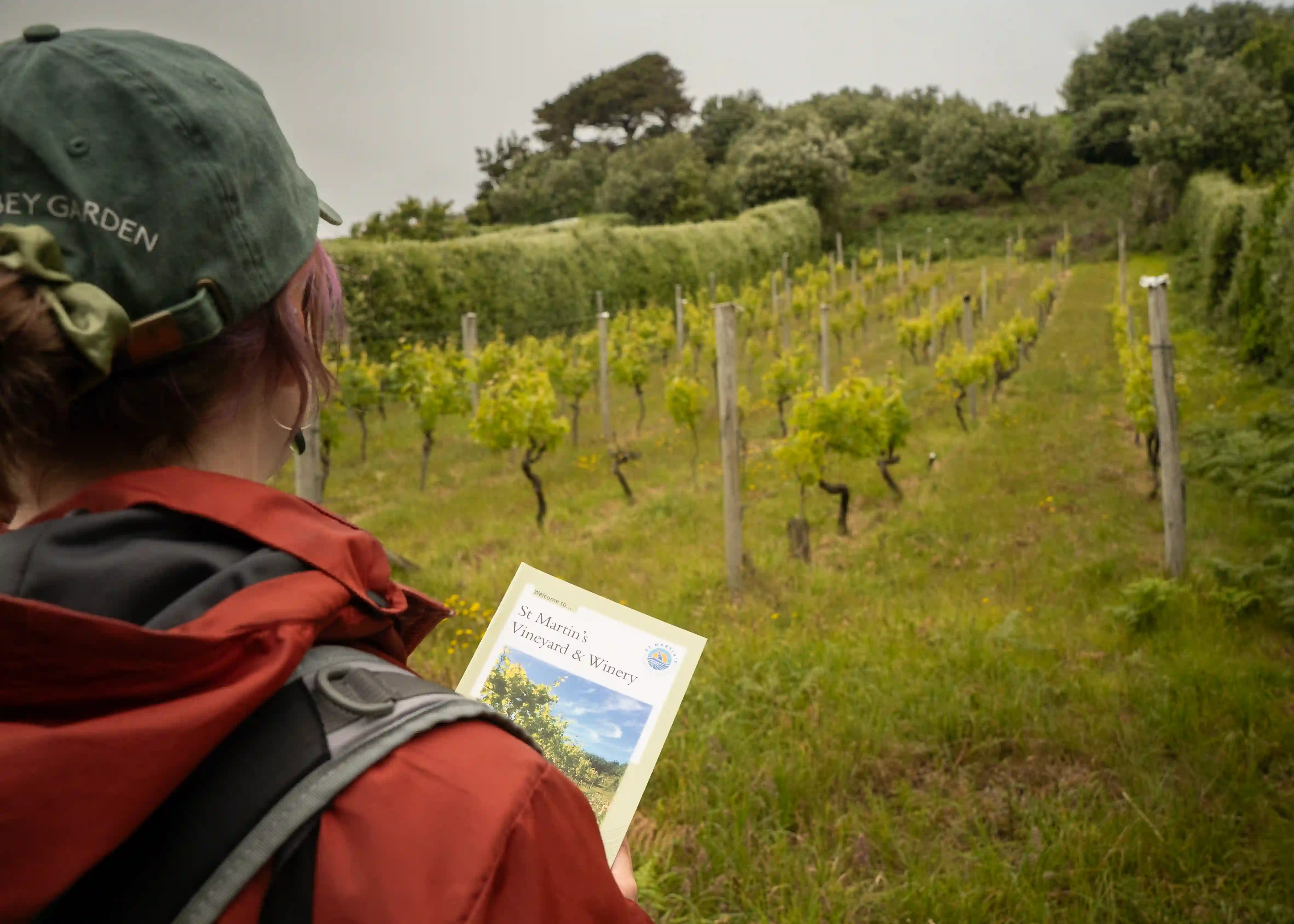 Exploring St Martins vineyard with pamphlet