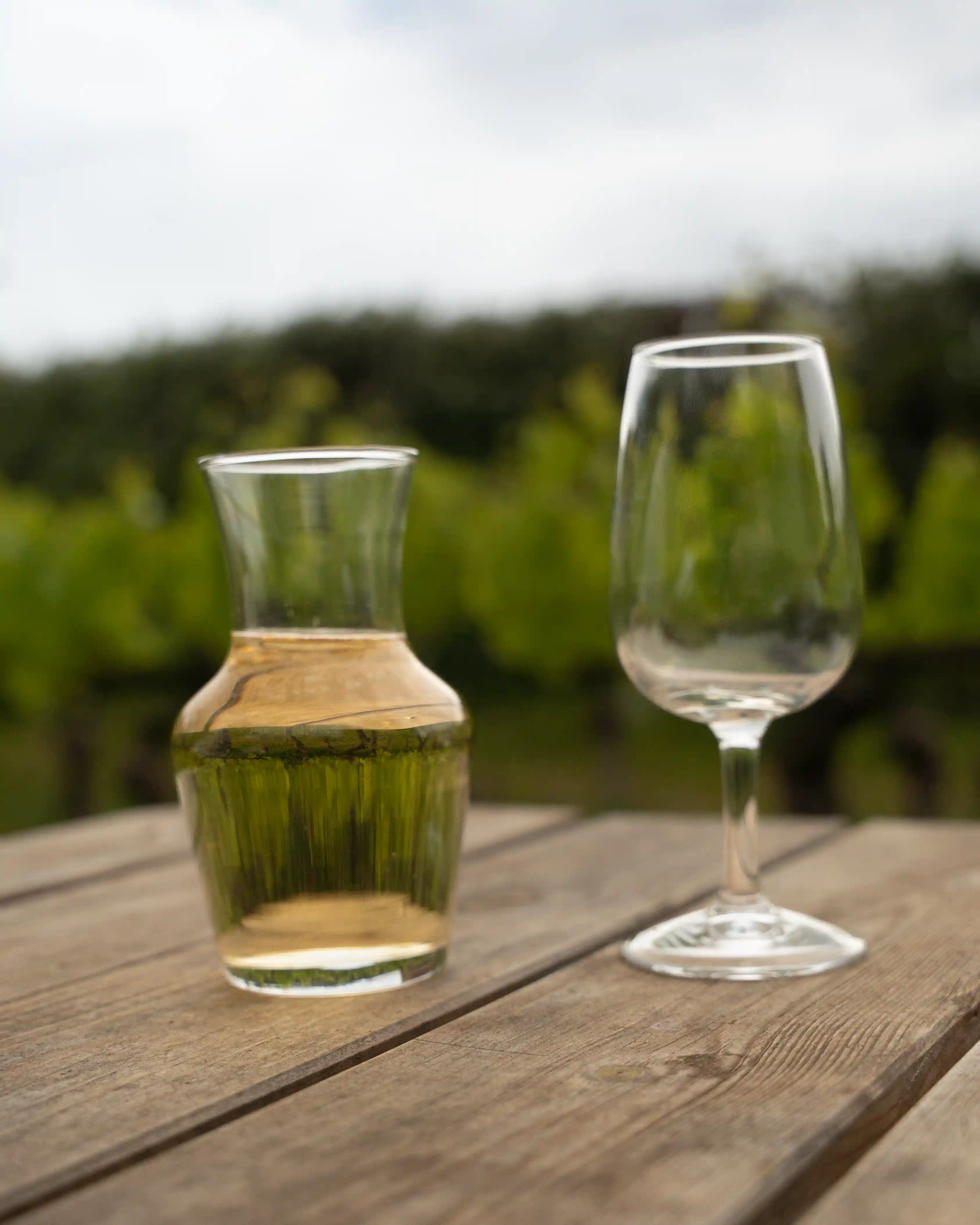 A carafe of wine and a glass St Martins Vineyard