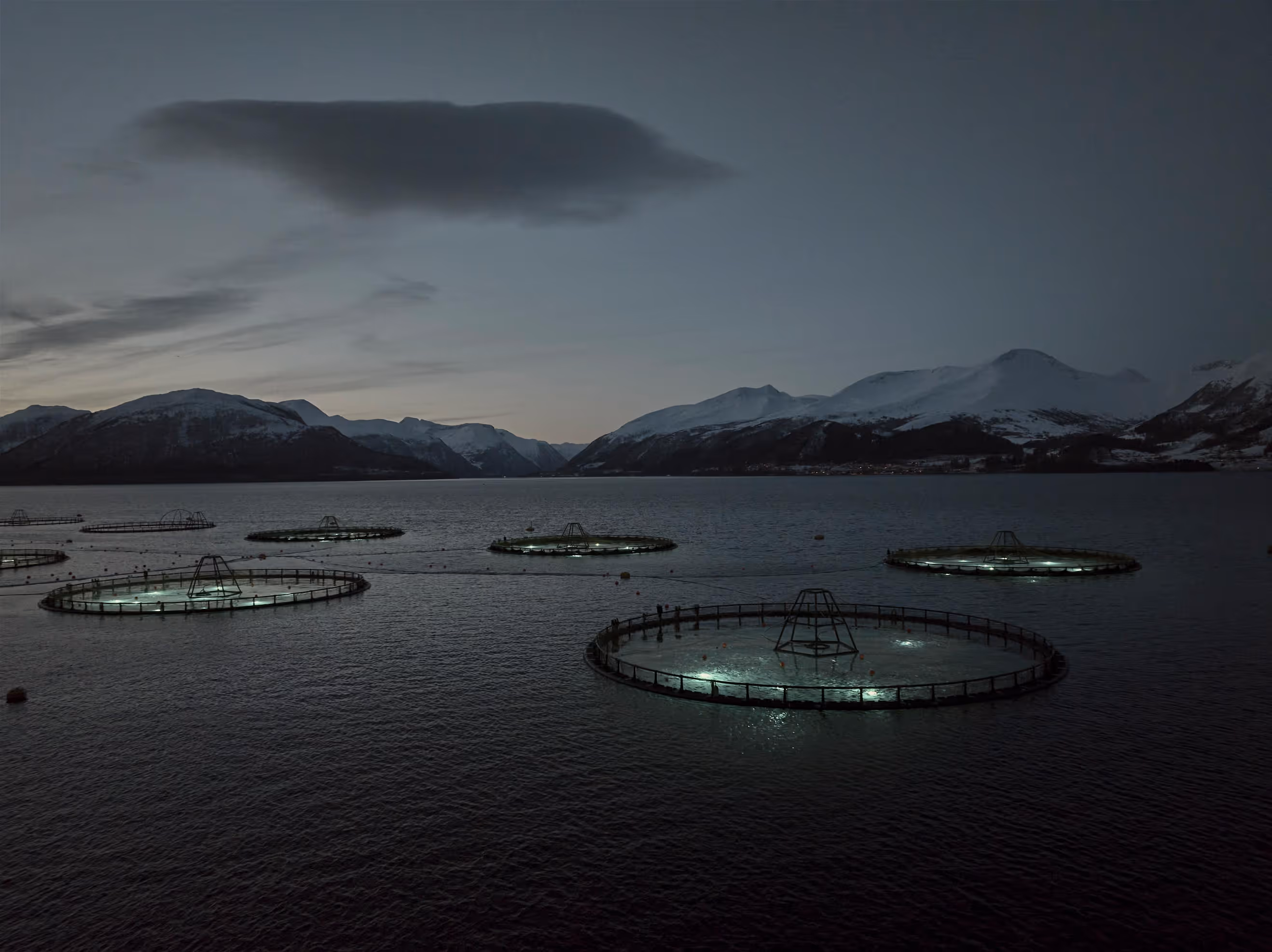 Sea farm at dusk