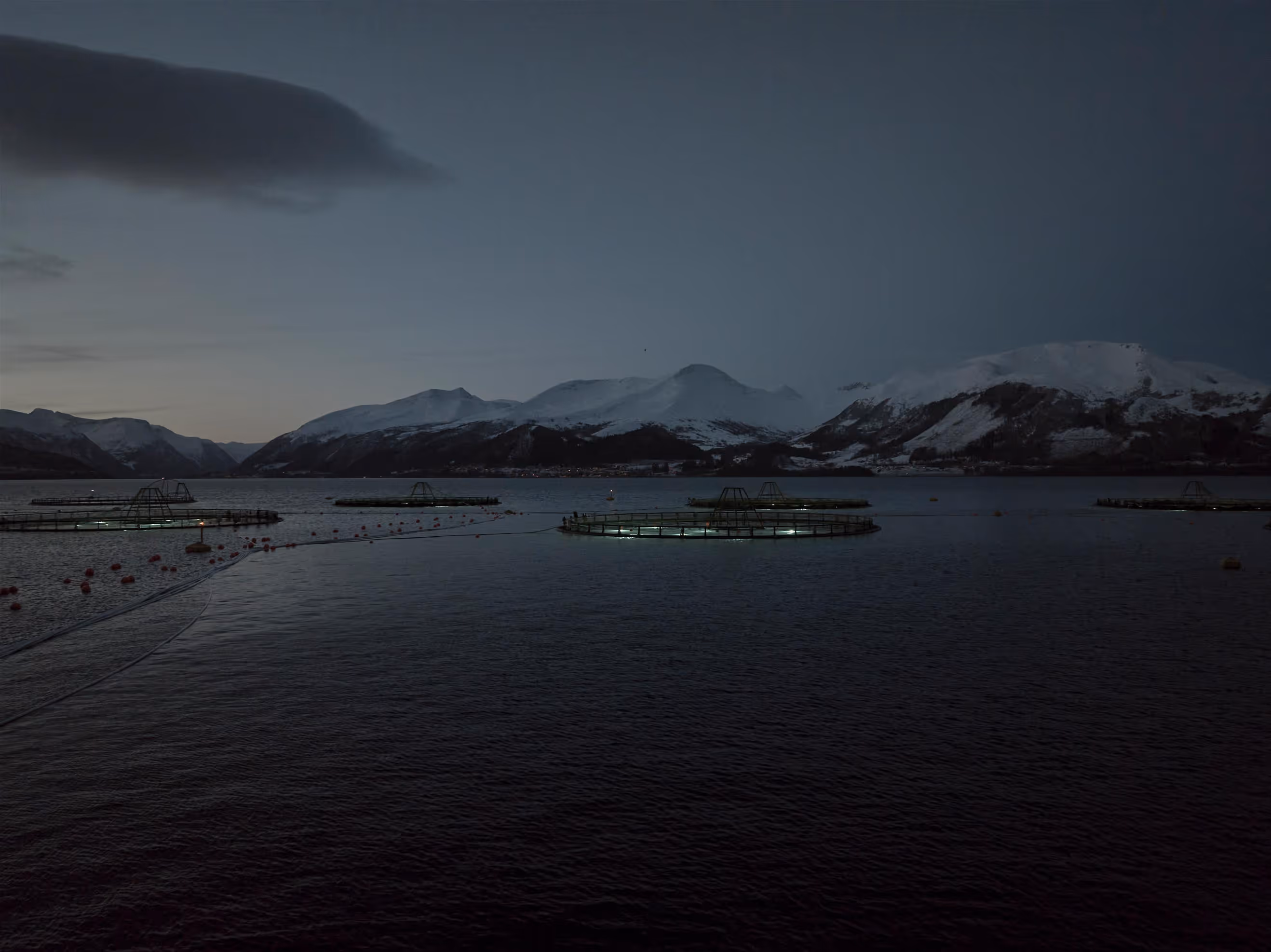 Sea farm at dusk
