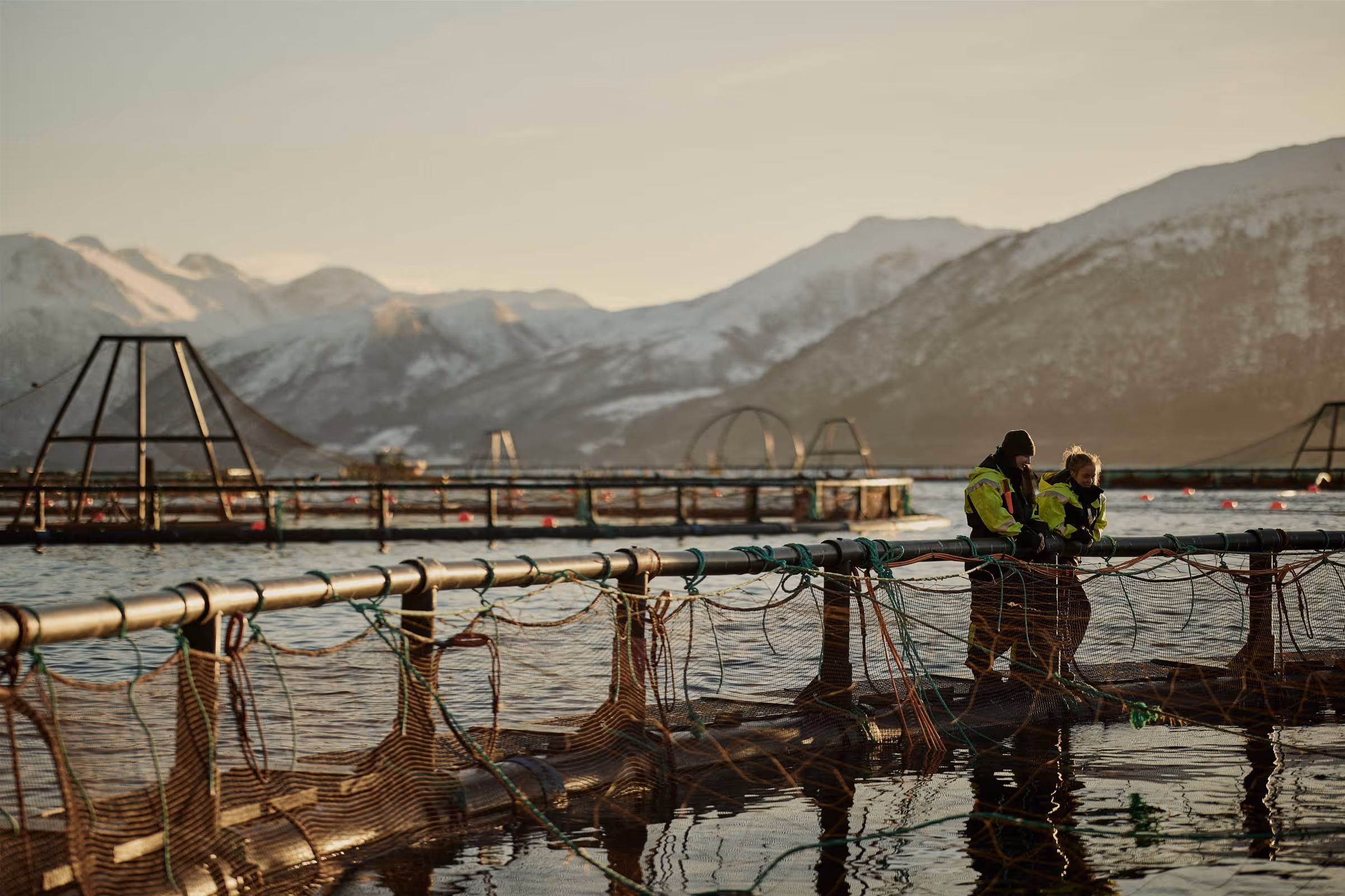 Two Ode employees talking on the side of a sea farm in Norway