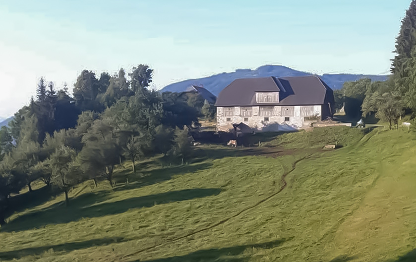 Bio Bauernhof Ofener